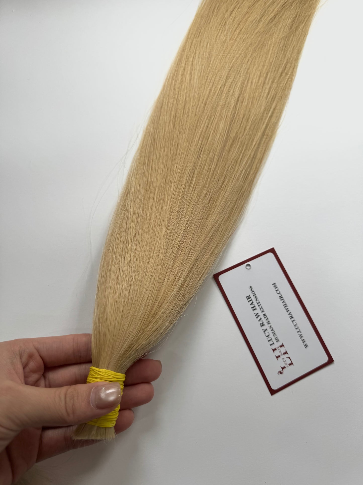 Bulk Hair For Sale From Lucyrawhair Factory 100% Vietnamese Raw Human Hair Bulk #22 Color Good Price