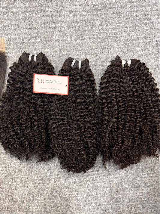 Curly Hair Bundles Premium Quality Raw Hair Vietnam